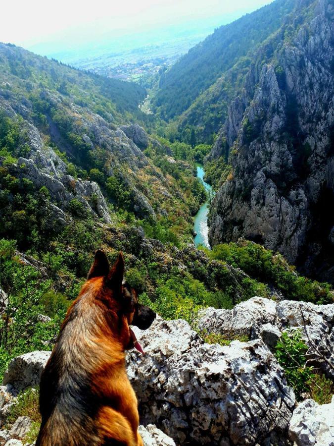 Apartman Studio Zdravko Eco Village Imotski Dış mekan fotoğraf